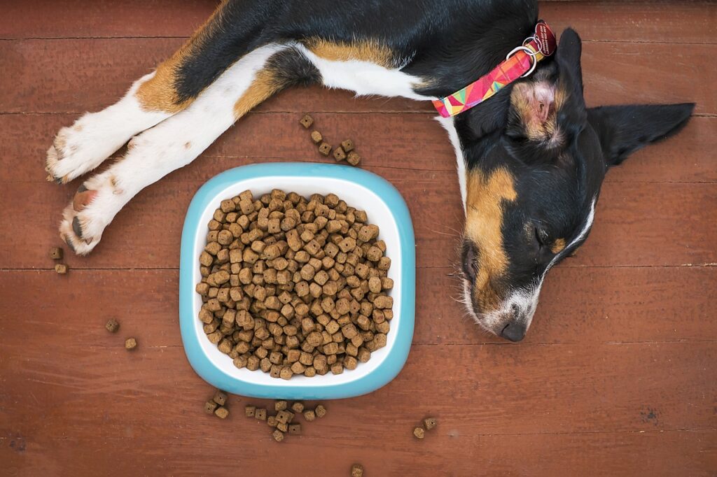 Chicken Chips for Dogs